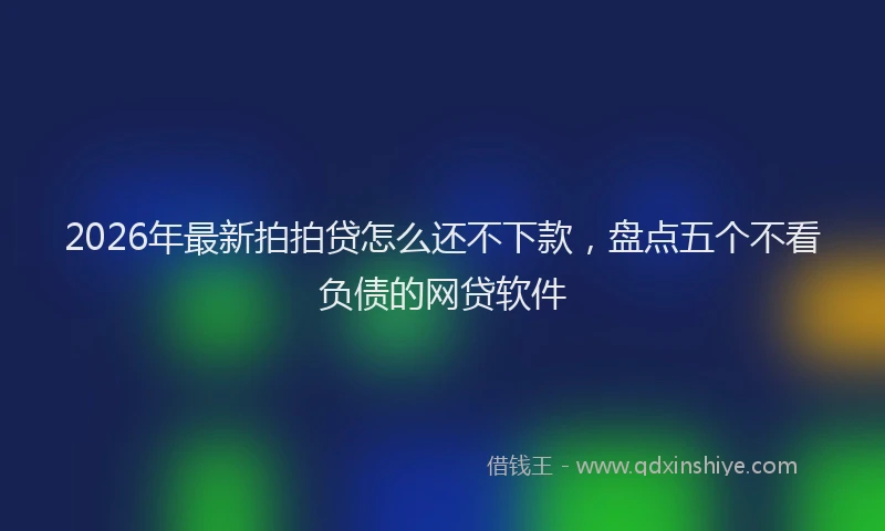 2026年最新拍拍贷怎么还不下款，盘点五个不看负债的网贷软件