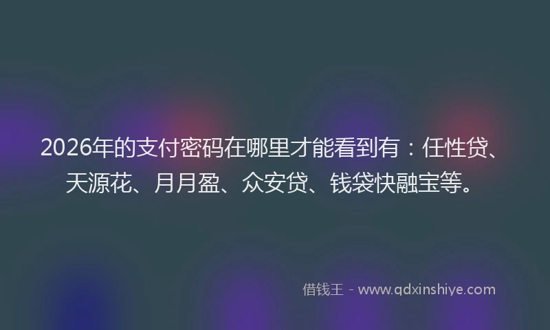 2026年的支付密码在哪里才能看到有：任性贷、天源花、月月盈、众安贷、钱袋快融宝等。