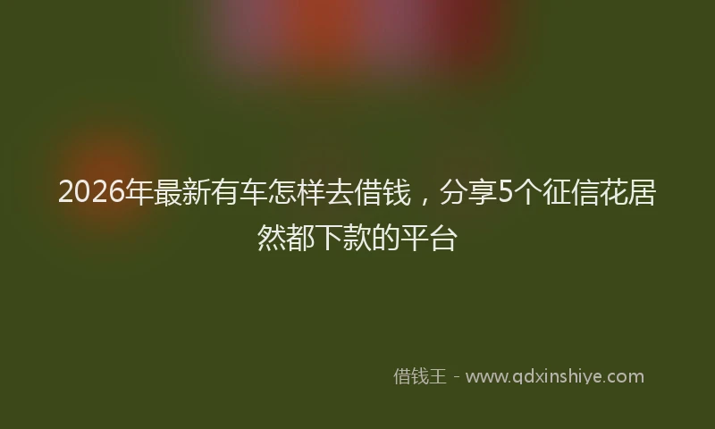 2026年最新有车怎样去借钱，分享5个征信花居然都下款的平台