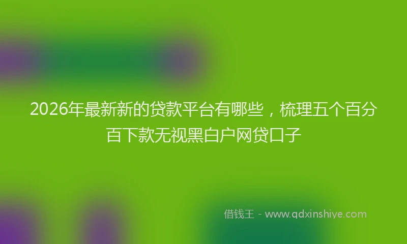 2026年最新新的贷款平台有哪些，梳理五个百分百下款无视黑白户网贷口子