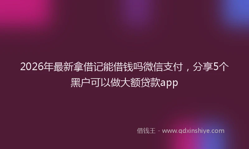 2026年最新拿借记能借钱吗微信支付，分享5个黑户可以做大额贷款app