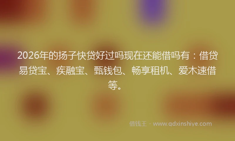 2026年的扬子快贷好过吗现在还能借吗有：借贷易贷宝、疾融宝、甄钱包、畅享租机、爱木速借等。