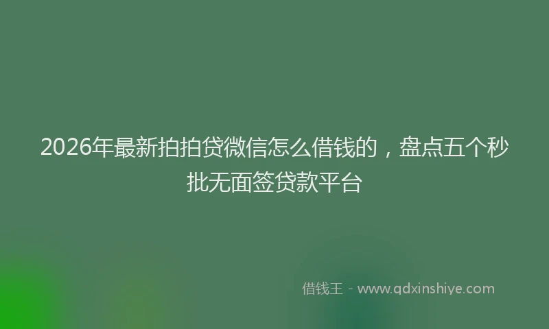 2026年最新拍拍贷微信怎么借钱的，盘点五个秒批无面签贷款平台