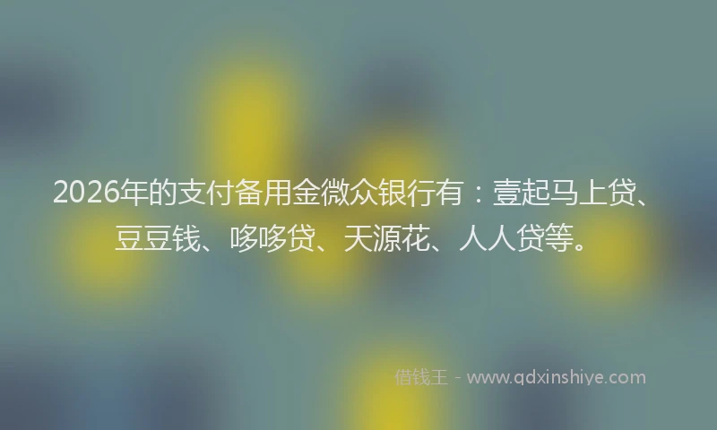 2026年的支付备用金微众银行有：壹起马上贷、豆豆钱、哆哆贷、天源花、人人贷等。