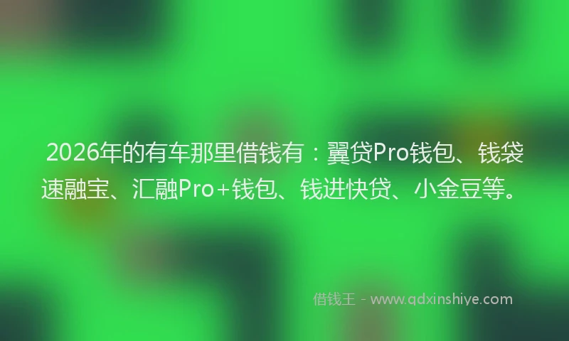 2026年的有车那里借钱有：翼贷Pro钱包、钱袋速融宝、汇融Pro+钱包、钱进快贷、小金豆等。