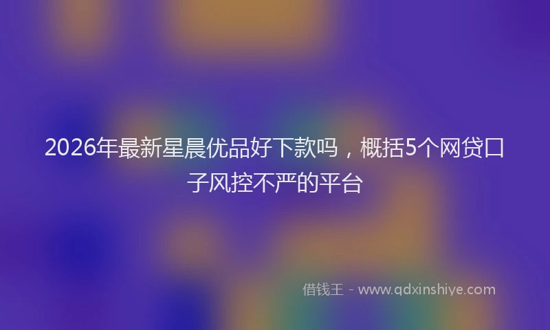 2026年最新星晨优品好下款吗，概括5个网贷口子风控不严的平台