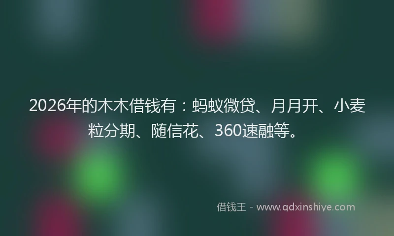 2026年的木木借钱有：蚂蚁微贷、月月开、小麦粒分期、随信花、360速融等。