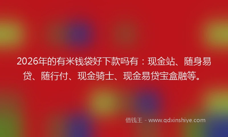 2026年的有米钱袋好下款吗有：现金站、随身易贷、随行付、现金骑士、现金易贷宝盒融等。