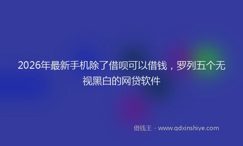 2026年最新手机除了借呗可以借钱，罗列五个无视黑白的网贷软件
