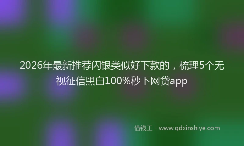 2026年最新推荐闪银类似好下款的，梳理5个无视征信黑白100%秒下网贷app