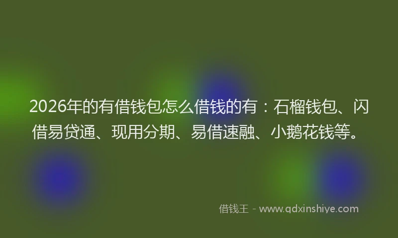 2026年的有借钱包怎么借钱的有：石榴钱包、闪借易贷通、现用分期、易借速融、小鹅花钱等。