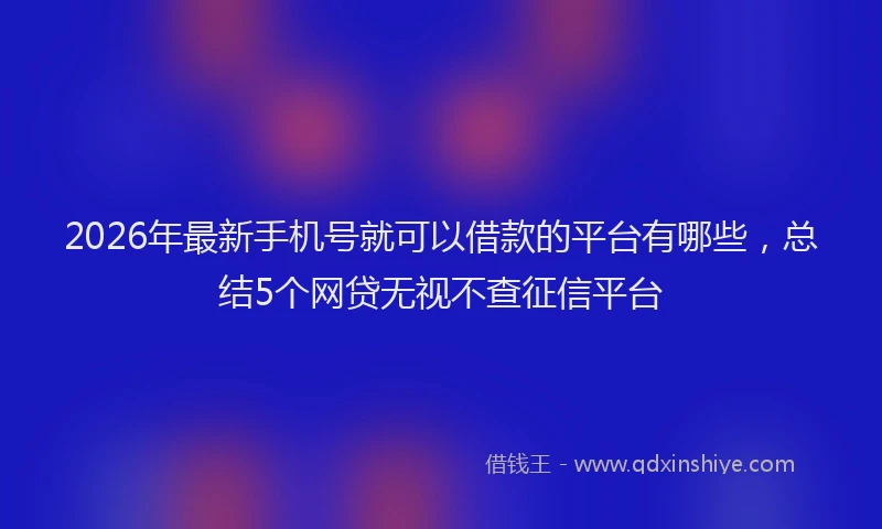 2026年最新手机号就可以借款的平台有哪些，总结5个网贷无视不查征信平台