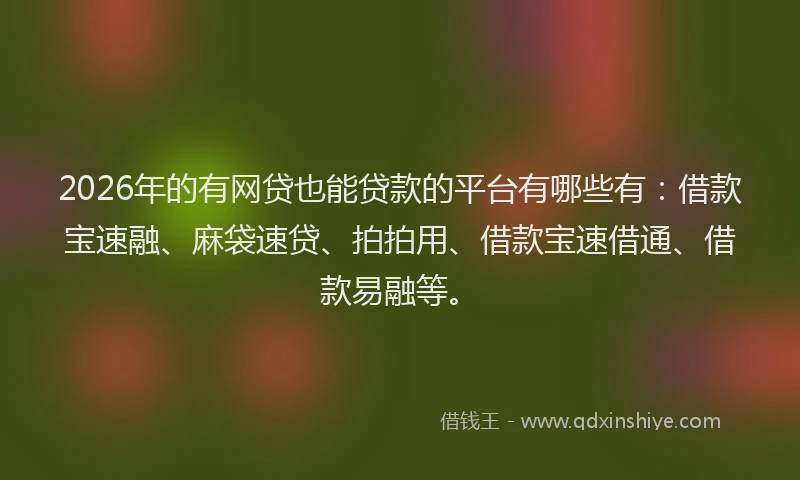 2026年的有网贷也能贷款的平台有哪些有：借款宝速融、麻袋速贷、拍拍用、借款宝速借通、借款易融等。
