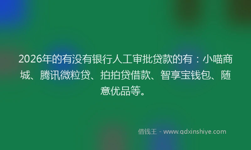 2026年的有没有银行人工审批贷款的有：小喵商城、腾讯微粒贷、拍拍贷借款、智享宝钱包、随意优品等。