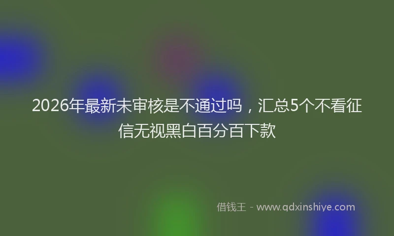 2026年最新未审核是不通过吗，汇总5个不看征信无视黑白百分百下款