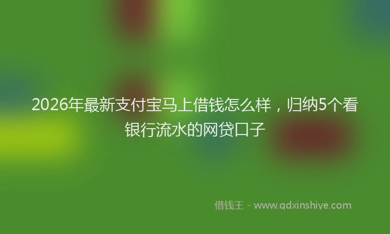2026年最新支付宝马上借钱怎么样，归纳5个看银行流水的网贷口子