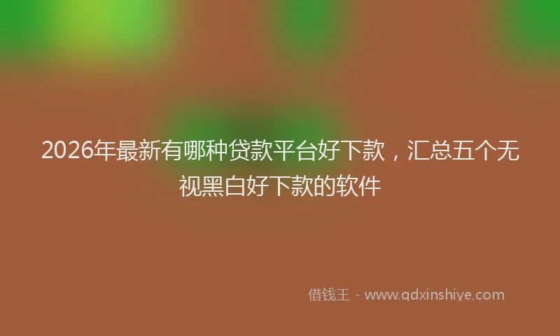 2026年最新有哪种贷款平台好下款，汇总五个无视黑白好下款的软件