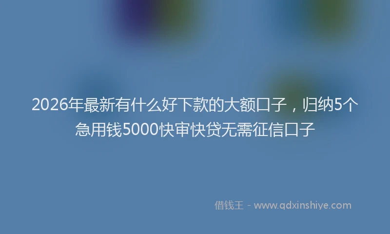 2026年最新有什么好下款的大额口子，归纳5个急用钱5000快审快贷无需征信口子