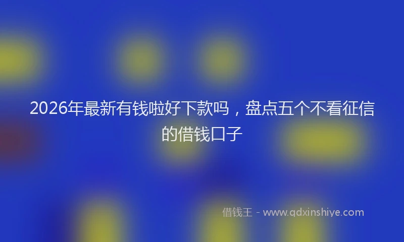 2026年最新有钱啦好下款吗，盘点五个不看征信的借钱口子