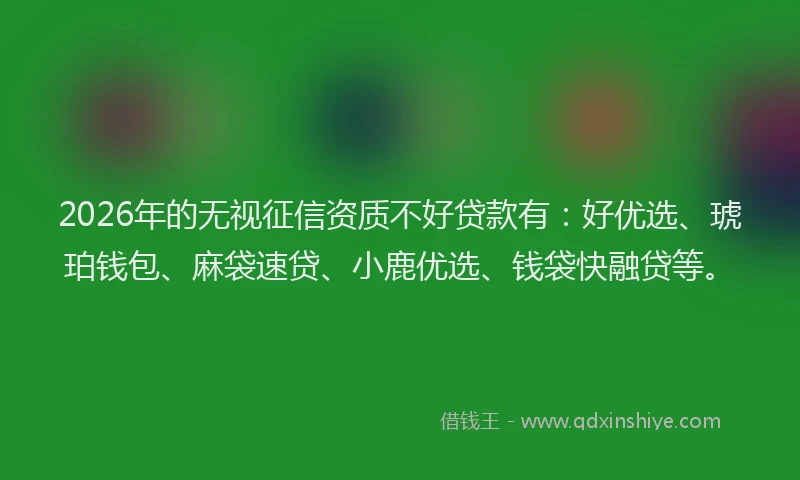 2026年的无视征信资质不好贷款有：好优选、琥珀钱包、麻袋速贷、小鹿优选、钱袋快融贷等。