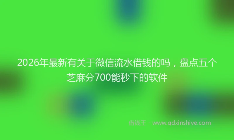 2026年最新有关于微信流水借钱的吗，盘点五个芝麻分700能秒下的软件