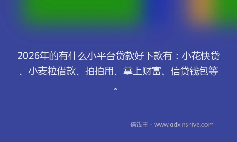 2026年的有什么小平台贷款好下款有：小花快贷、小麦粒借款、拍拍用、掌上财富、信贷钱包等。
