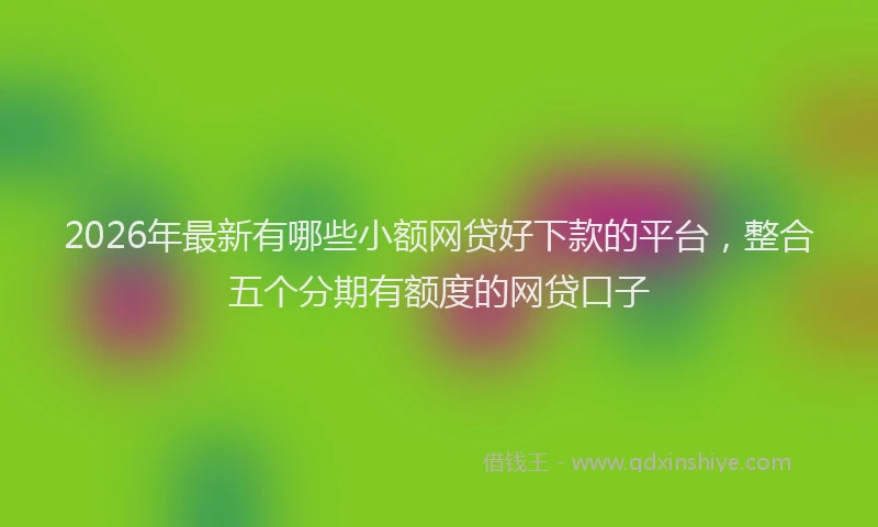 2026年最新有哪些小额网贷好下款的平台，整合五个分期有额度的网贷口子