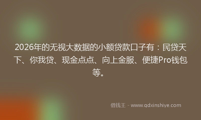 2026年的无视大数据的小额贷款口子有：民贷天下、你我贷、现金点点、向上金服、便捷Pro钱包等。