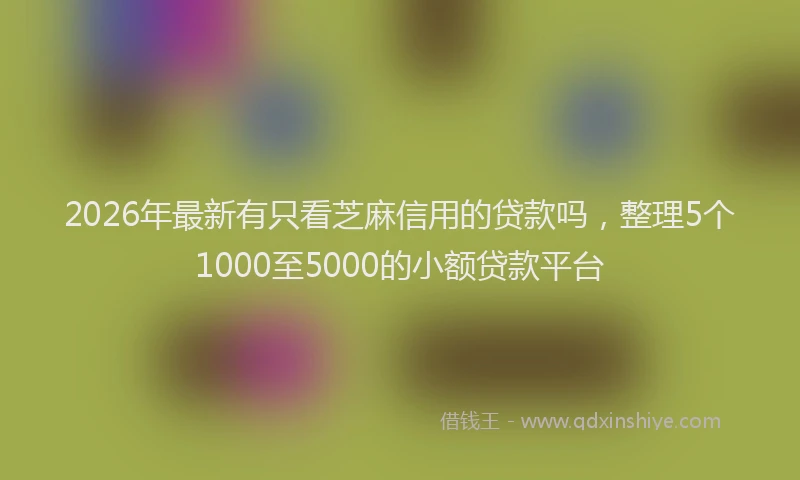 2026年最新有只看芝麻信用的贷款吗，整理5个1000至5000的小额贷款平台