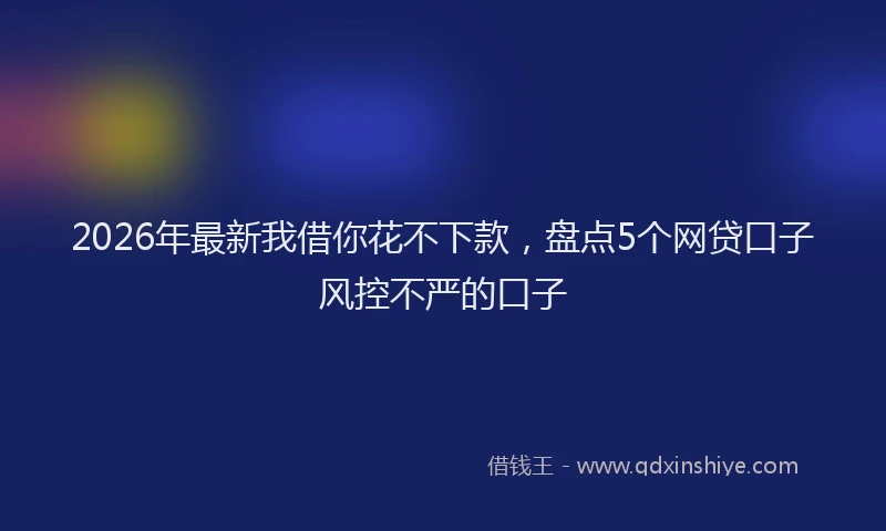 2026年最新我借你花不下款，盘点5个网贷口子风控不严的口子