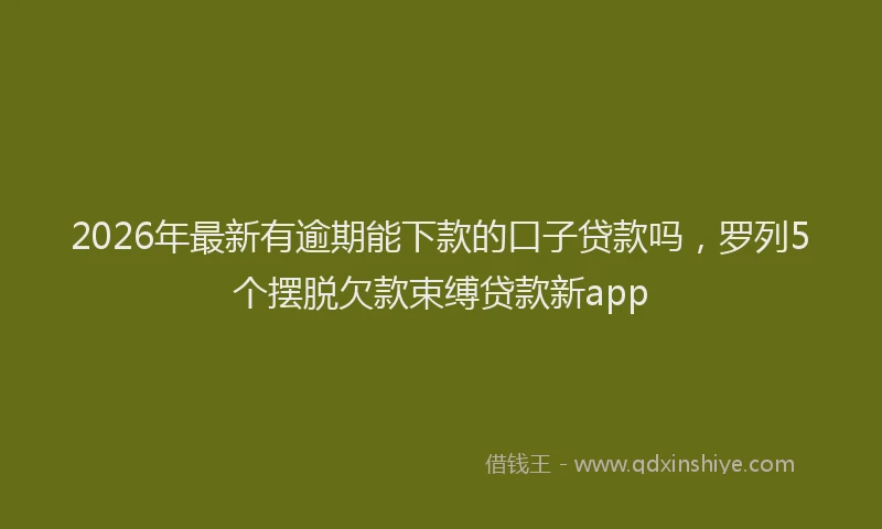 2026年最新有逾期能下款的口子贷款吗，罗列5个摆脱欠款束缚贷款新app