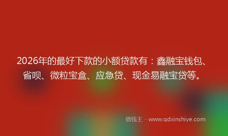 2026年的最好下款的小额贷款有：鑫融宝钱包、省呗、微粒宝盒、应急贷、现金易融宝贷等。