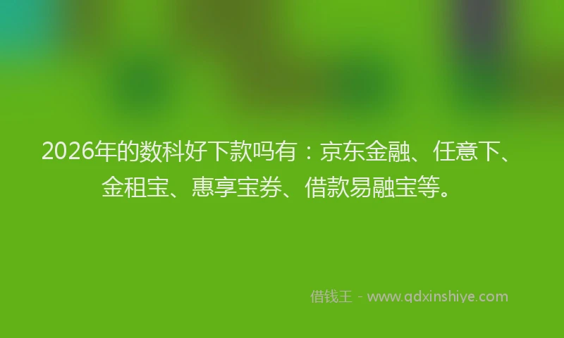 2026年的数科好下款吗有：京东金融、任意下、金租宝、惠享宝券、借款易融宝等。