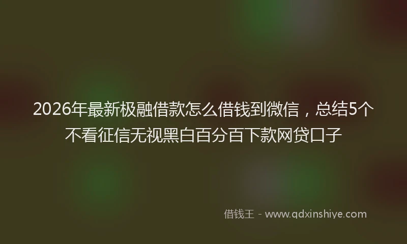2026年最新极融借款怎么借钱到微信，总结5个不看征信无视黑白百分百下款网贷口子