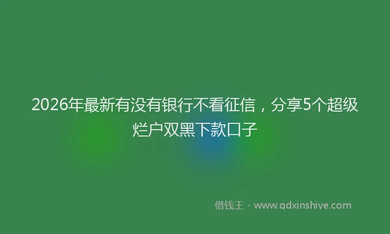 2026年最新有没有银行不看征信，分享5个超级烂户双黑下款口子