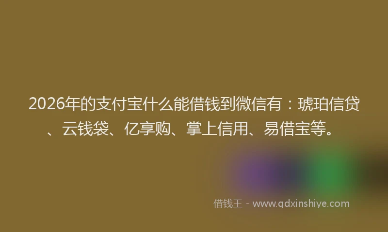 2026年的支付宝什么能借钱到微信有：琥珀信贷、云钱袋、亿享购、掌上信用、易借宝等。