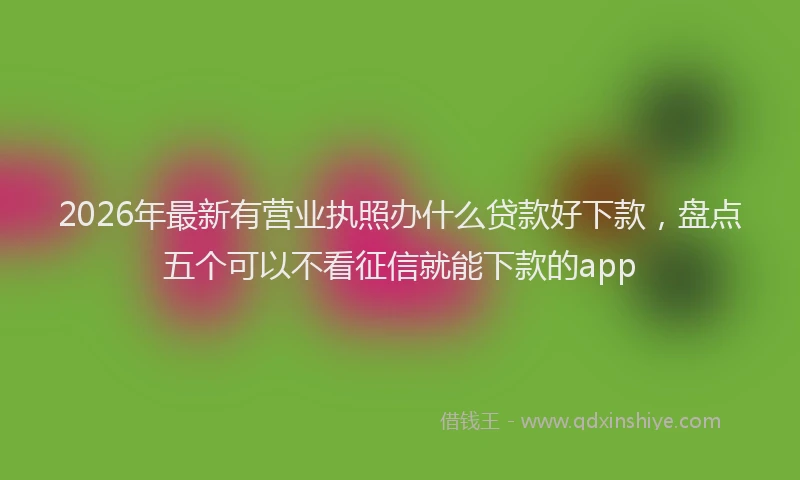 2026年最新有营业执照办什么贷款好下款，盘点五个可以不看征信就能下款的app