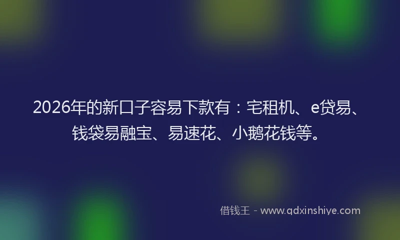 2026年的新口子容易下款有：宅租机、e贷易、钱袋易融宝、易速花、小鹅花钱等。