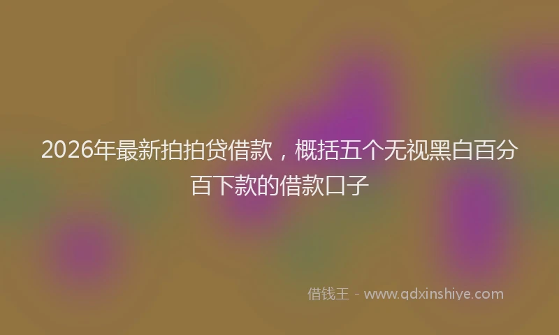 2026年最新拍拍贷借款，概括五个无视黑白百分百下款的借款口子