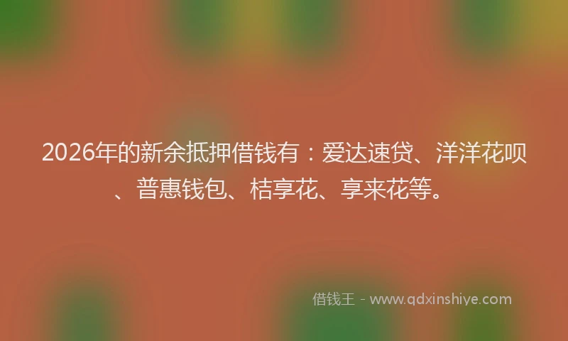 2026年的新余抵押借钱有：爱达速贷、洋洋花呗、普惠钱包、桔享花、享来花等。