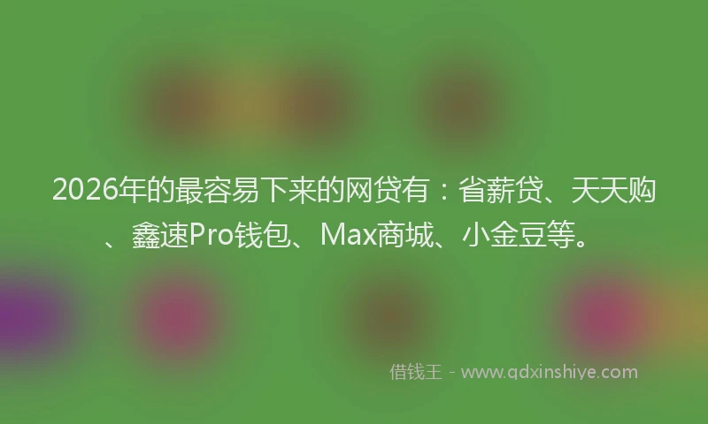 2026年的最容易下来的网贷有：省薪贷、天天购、鑫速Pro钱包、Max商城、小金豆等。