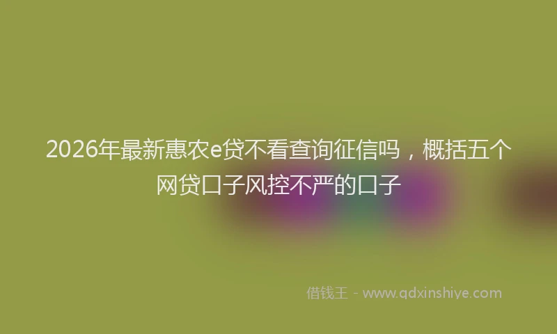2026年最新惠农e贷不看查询征信吗，概括五个网贷口子风控不严的口子