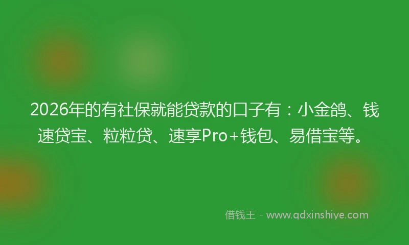 2026年的有社保就能贷款的口子有：小金鸽、钱速贷宝、粒粒贷、速享Pro+钱包、易借宝等。