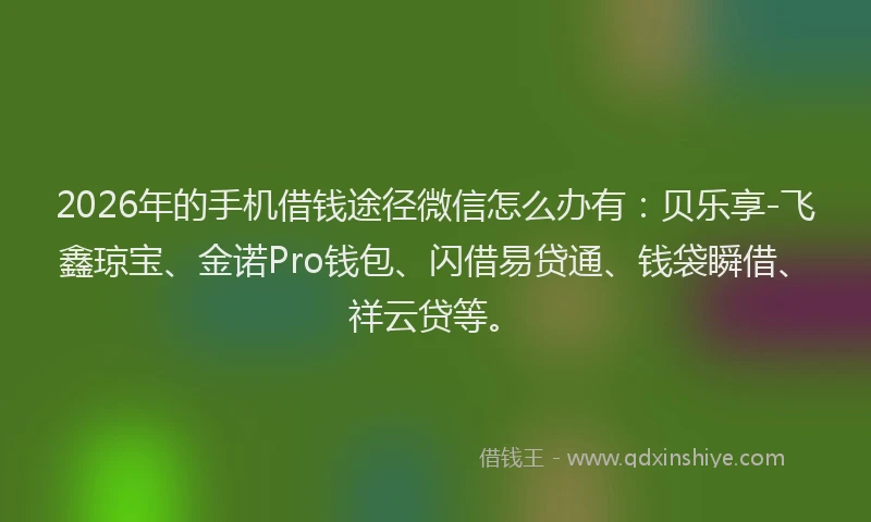 2026年的手机借钱途径微信怎么办有：贝乐享-飞鑫琼宝、金诺Pro钱包、闪借易贷通、钱袋瞬借、祥云贷等。