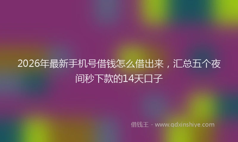 2026年最新手机号借钱怎么借出来，汇总五个夜间秒下款的14天口子
