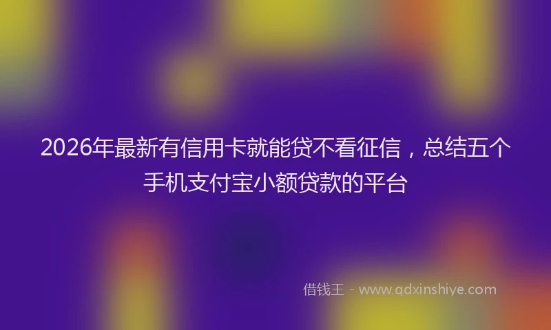 2026年最新有信用卡就能贷不看征信，总结五个手机支付宝小额贷款的平台
