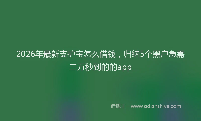 2026年最新支护宝怎么借钱，归纳5个黑户急需三万秒到的的app