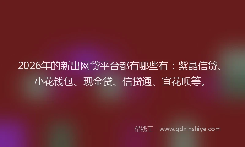 2026年的新出网贷平台都有哪些有：紫晶信贷、小花钱包、现金贷、信贷通、宜花呗等。