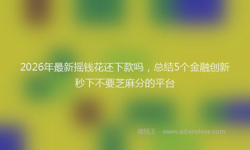 2026年最新摇钱花还下款吗，总结5个金融创新秒下不要芝麻分的平台