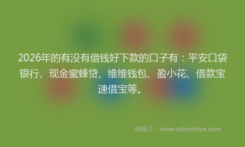 2026年的有没有借钱好下款的口子有：平安口袋银行、现金蜜蜂贷、维维钱包、盈小花、借款宝速借宝等。